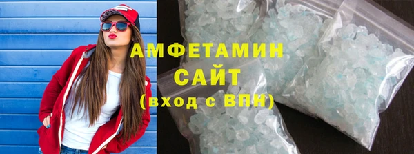 индика Горно-Алтайск