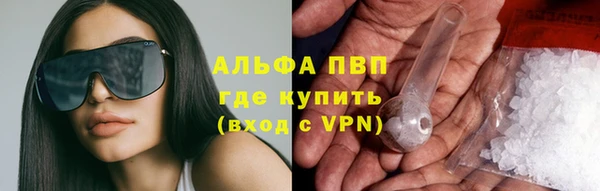 индика Горно-Алтайск