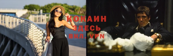 ПСИЛОЦИБИНОВЫЕ ГРИБЫ Вяземский