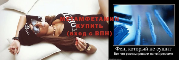 ПСИЛОЦИБИНОВЫЕ ГРИБЫ Вяземский