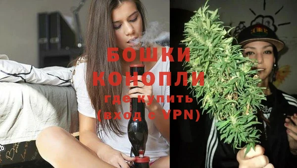 индика Горно-Алтайск