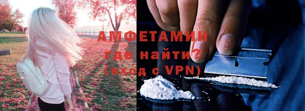 индика Горно-Алтайск