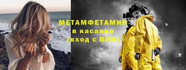 ПСИЛОЦИБИНОВЫЕ ГРИБЫ Вяземский