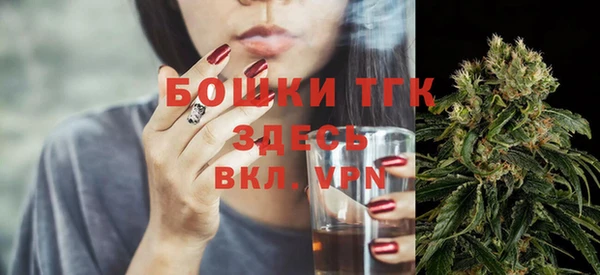ALPHA PVP Горнозаводск
