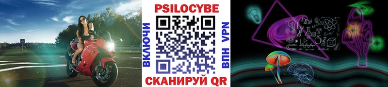 где купить наркоту  Черногорск  Галлюциногенные грибы прущие грибы 